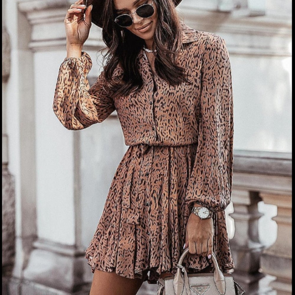 Leopard Balloon Sleeve Belted Skater Shirt Dress